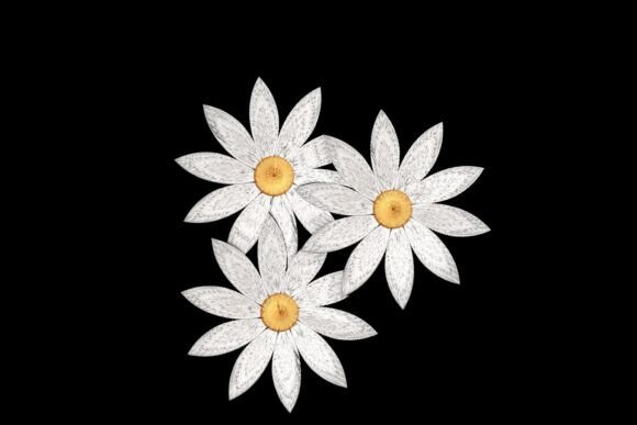 Elegant Daisy Flowers: A Designer’s Review