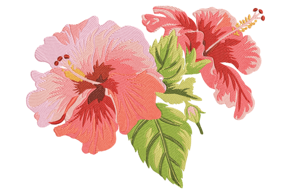 Red Hibiscus Flowers: A Designer’s Real-World Review
